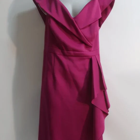 NWT Womens XSCAPE Fuchsia Dress 20W - Picture 3 of 10